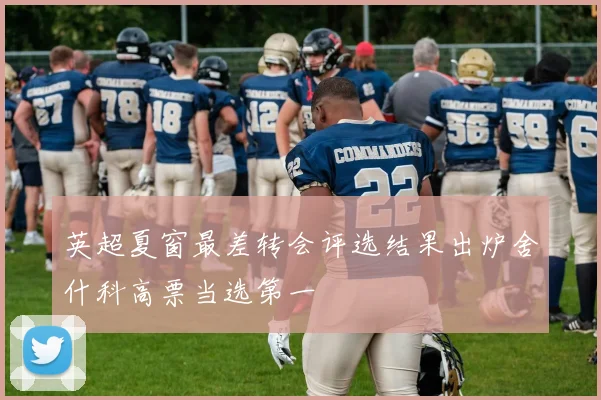 英超夏窗最差转会评选结果出炉舍什科高票当选第一
