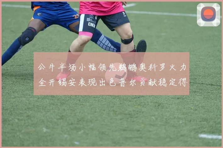 公牛半场小幅领先鹈鹕奥科罗火力全开锡安表现出色普尔贡献稳定得分